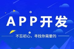 開發(fā)一個(gè)app多少錢？
